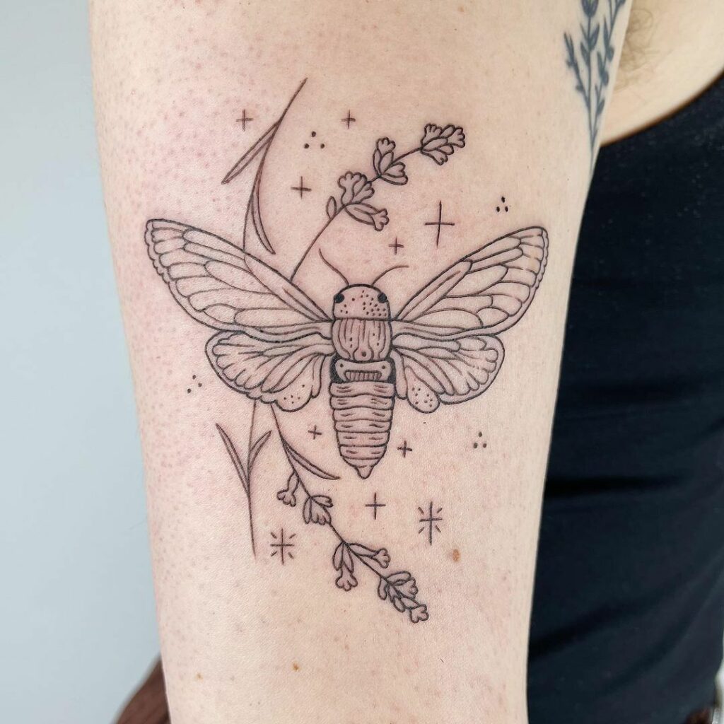 Cicada Tattoos 77