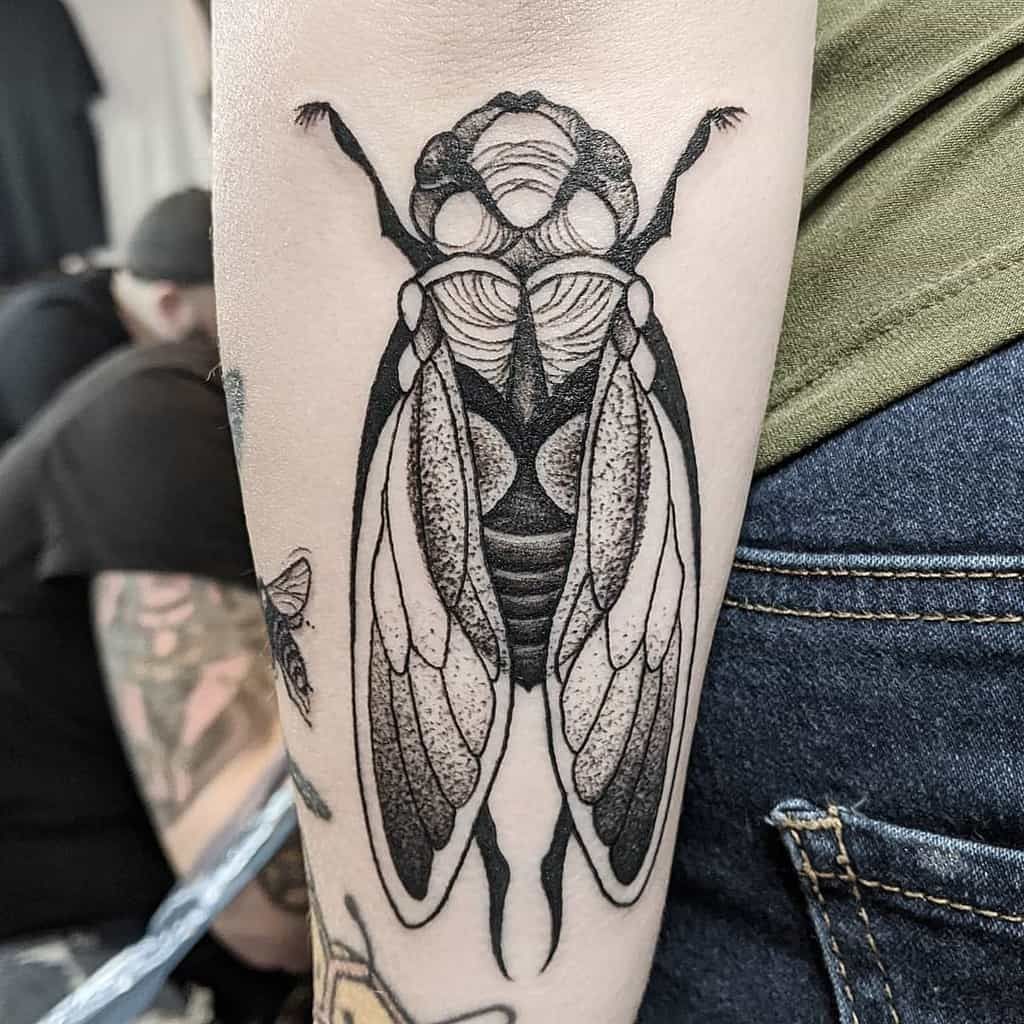 Cicada Tattoos 79