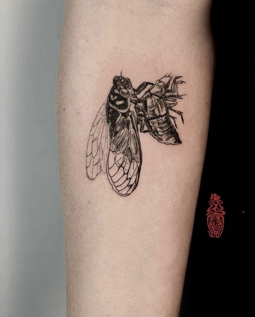 Cicada Tattoos 81