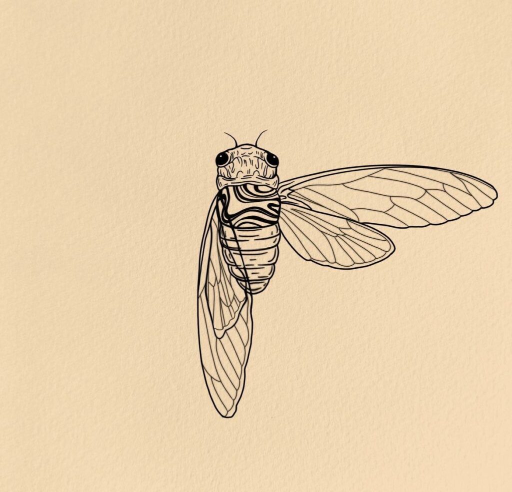 Cicada Tattoos 83