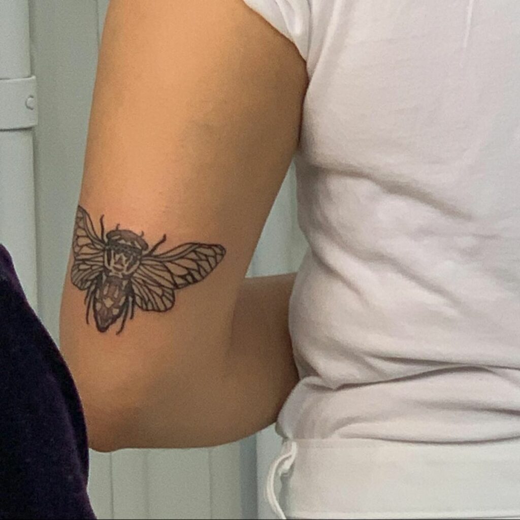 Cicada Tattoos 92