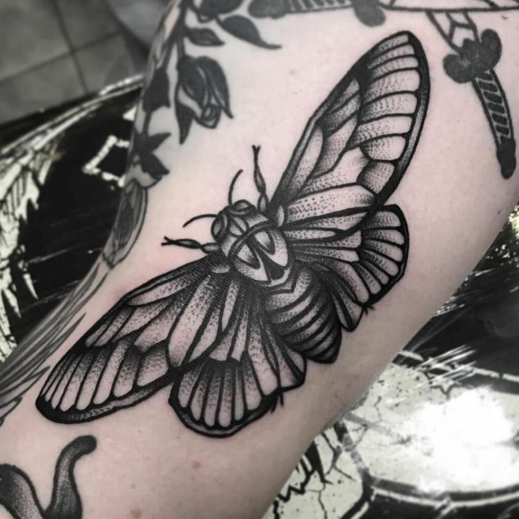 Cicada Tattoos 95