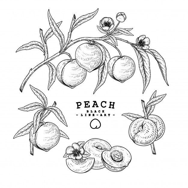 Peach Tattoos 141