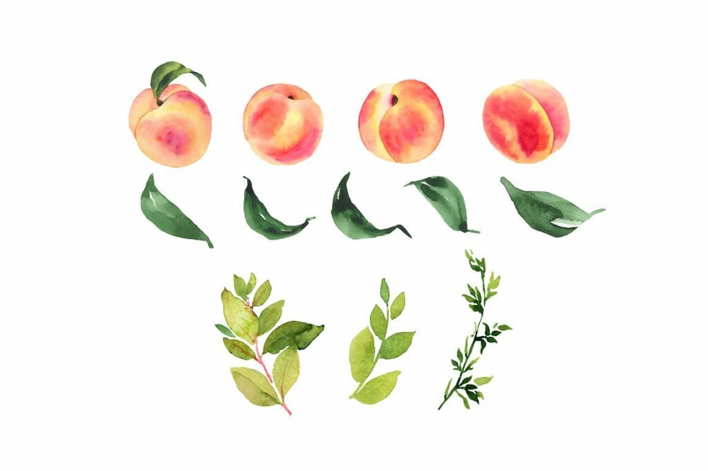 Peach Tattoos 186