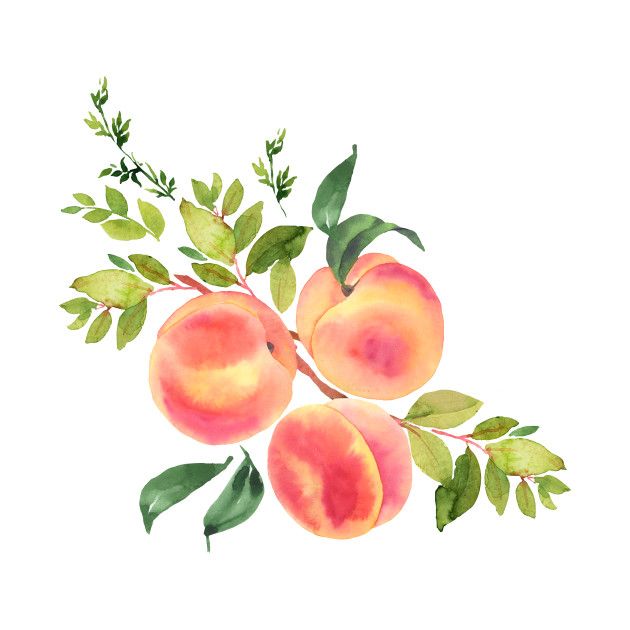 Peach Tattoos 228