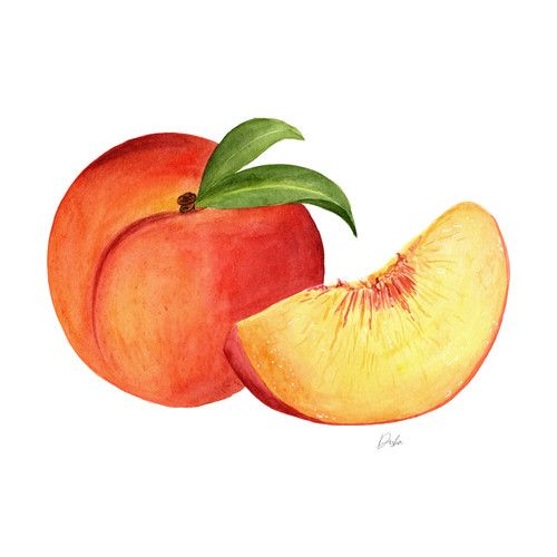 Peach Tattoos 271