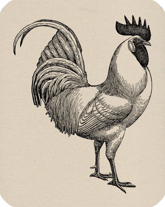 Rooster Tattoo 120