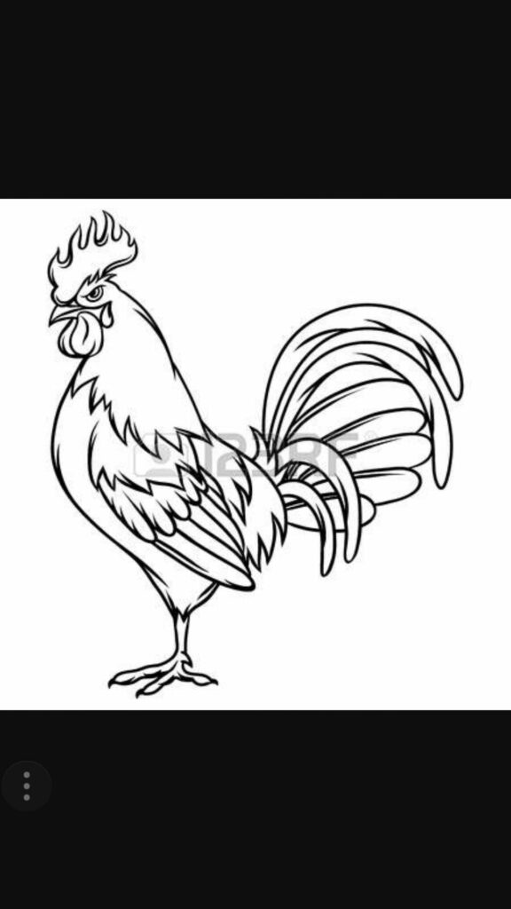 Rooster Tattoo 130