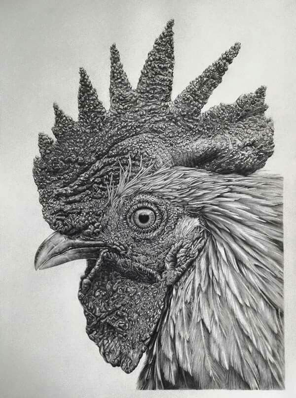 Rooster Tattoo 146