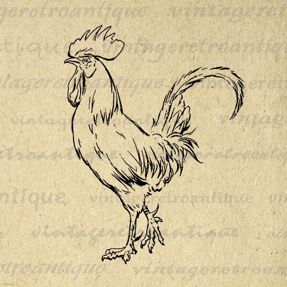 Rooster Tattoo 168