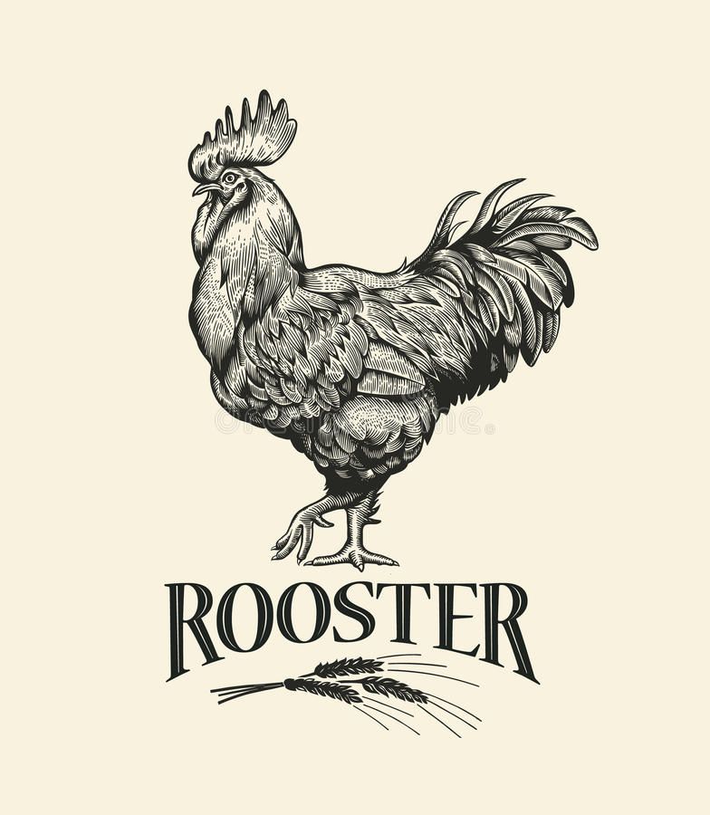 Rooster Tattoo 178