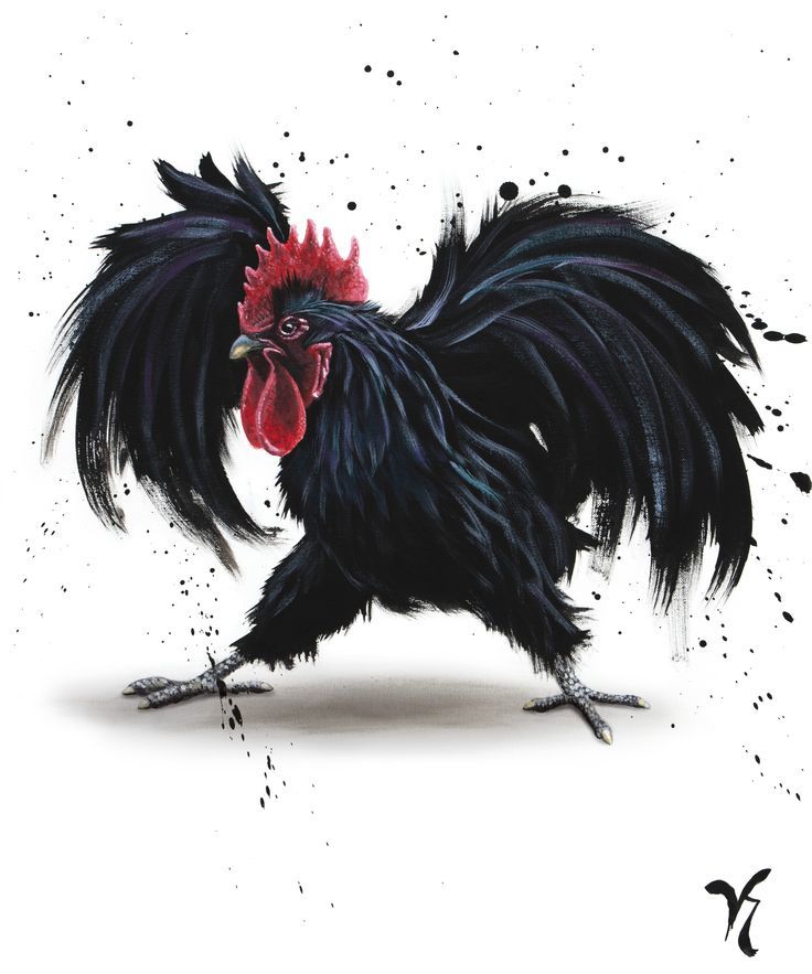 Rooster Tattoo 185