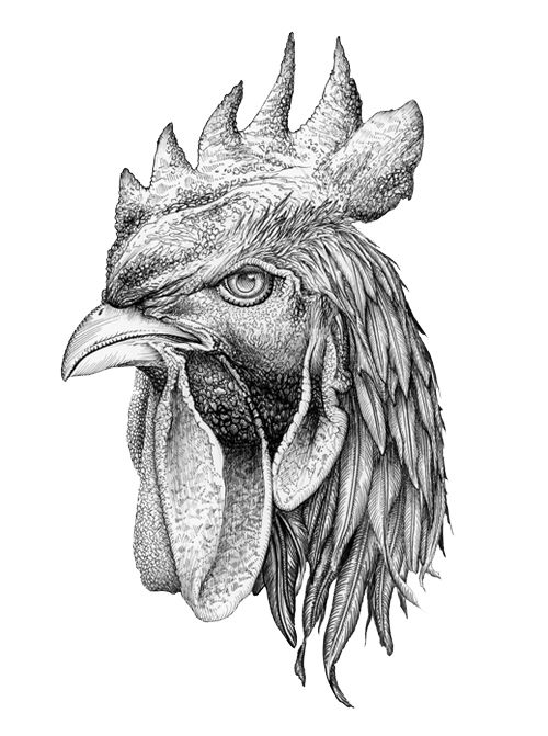 Rooster Tattoo 234