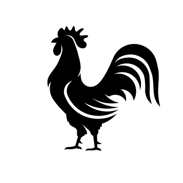 Rooster Tattoo 357