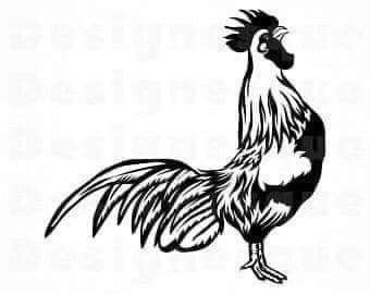 Rooster Tattoo 384