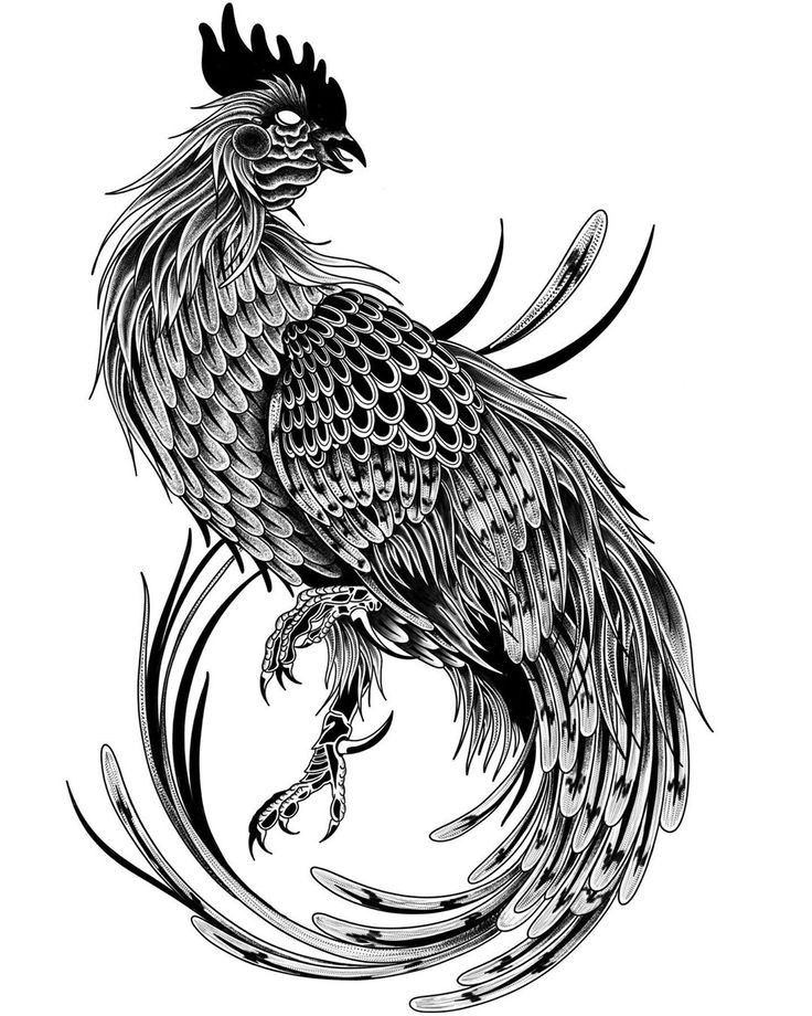 Rooster Tattoo 79