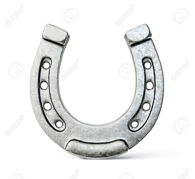 Horseshoe Tattoo 155