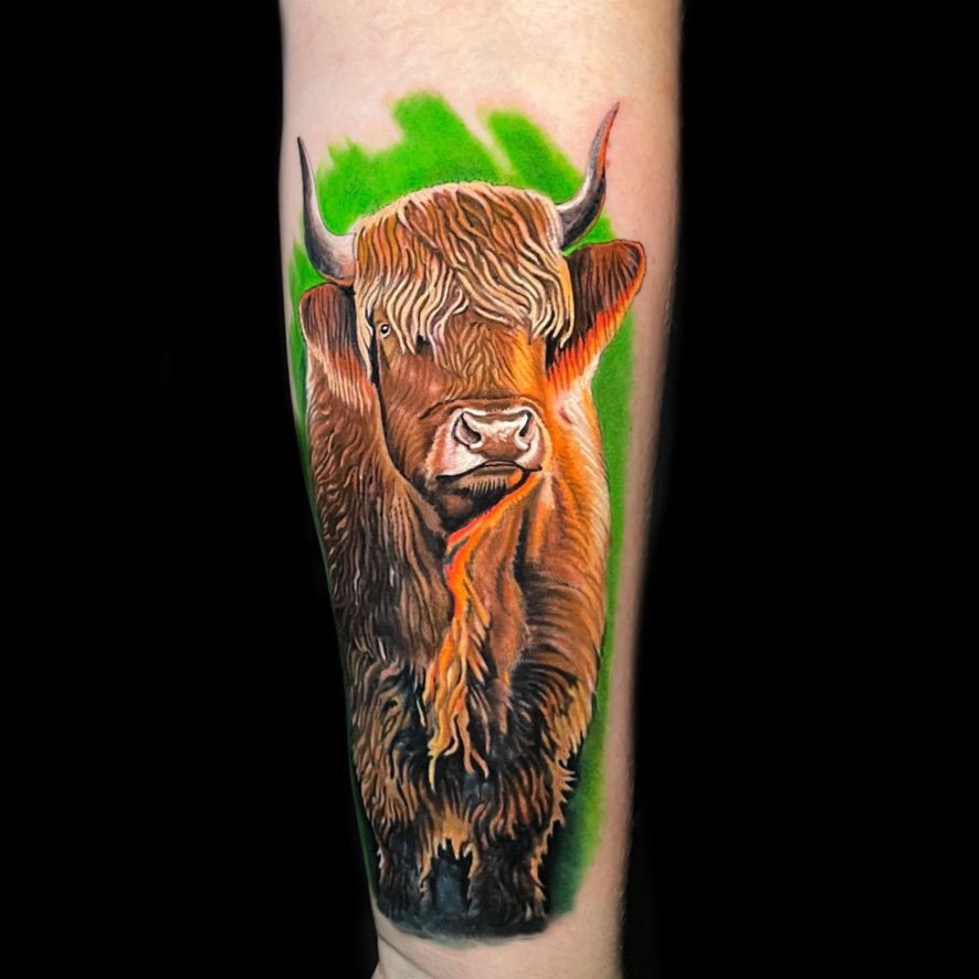 Bison Tattoo 146