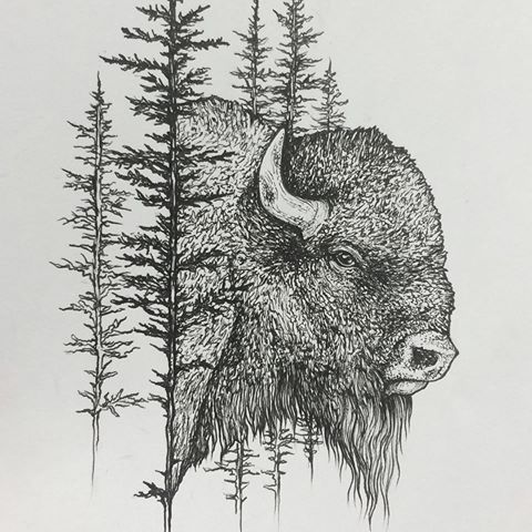 Bison Tattoo 151