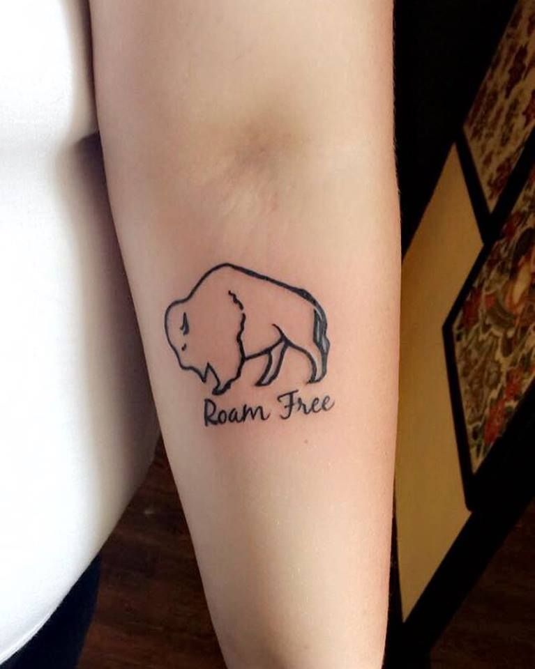 Bison Tattoo 164