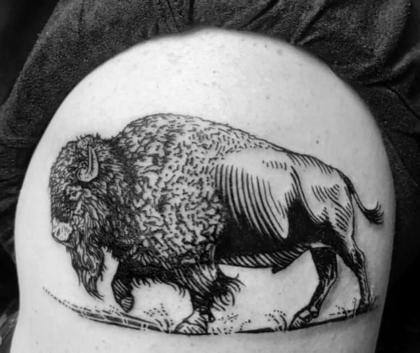 Bison Tattoo 172