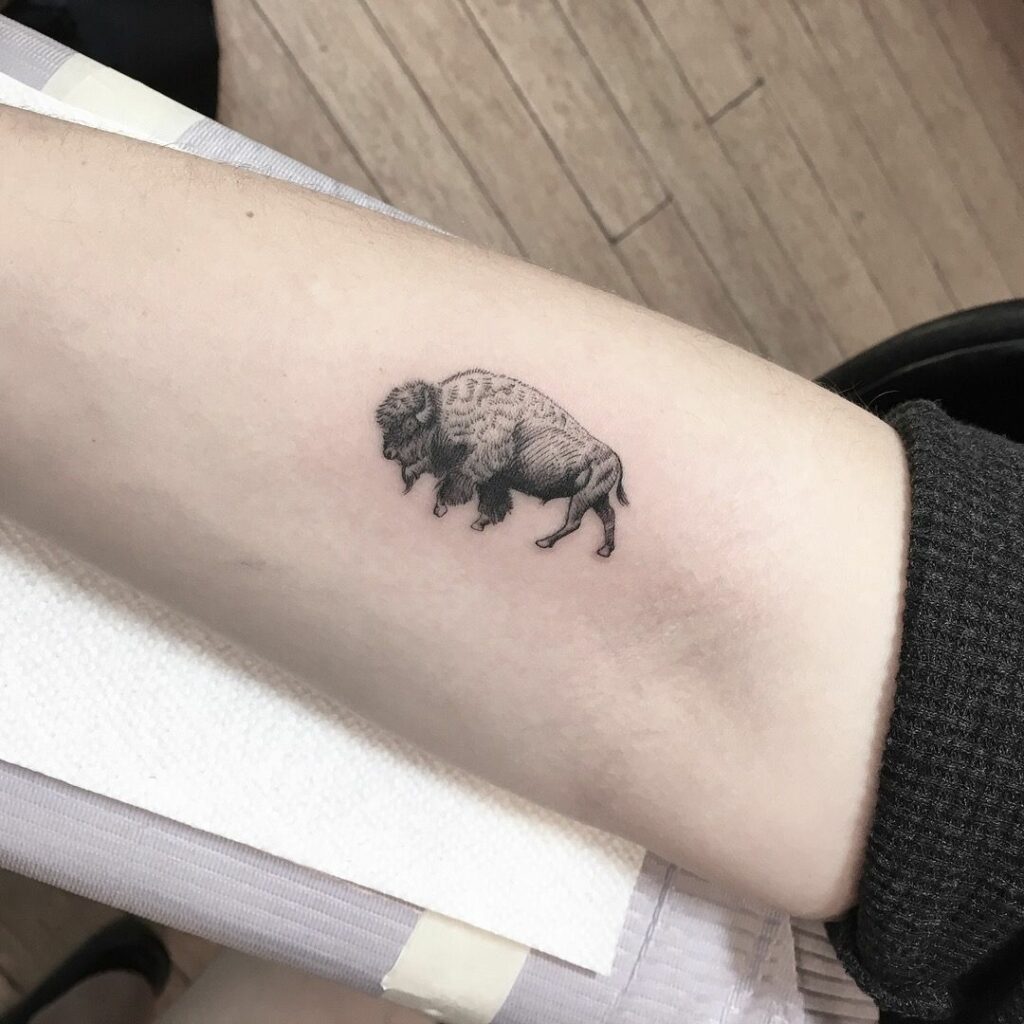 Bison Tattoo 71