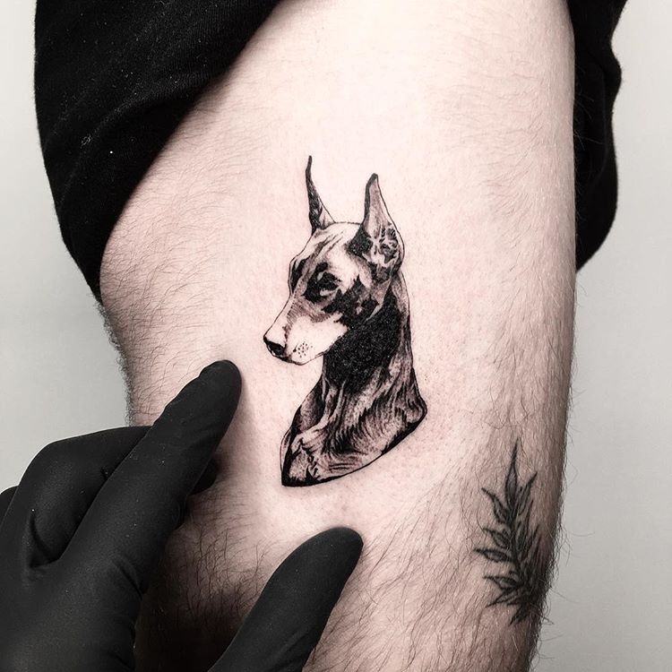 Doberman Tattoo 103