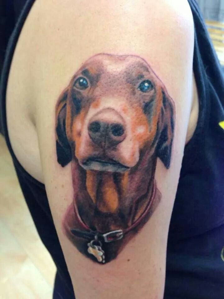 Doberman Tattoo 132