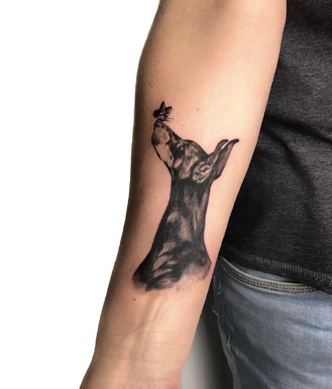 Doberman Tattoo 133