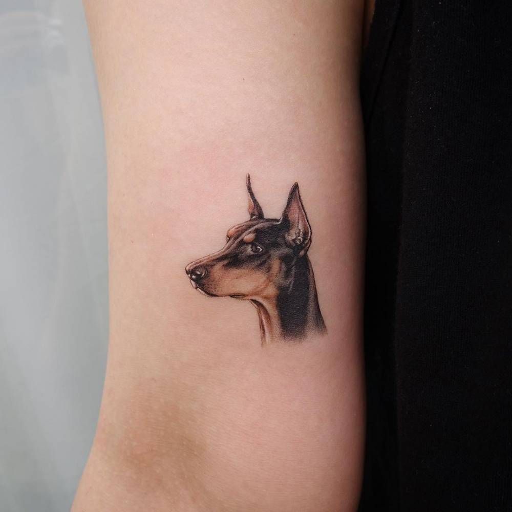 Doberman Tattoo 140