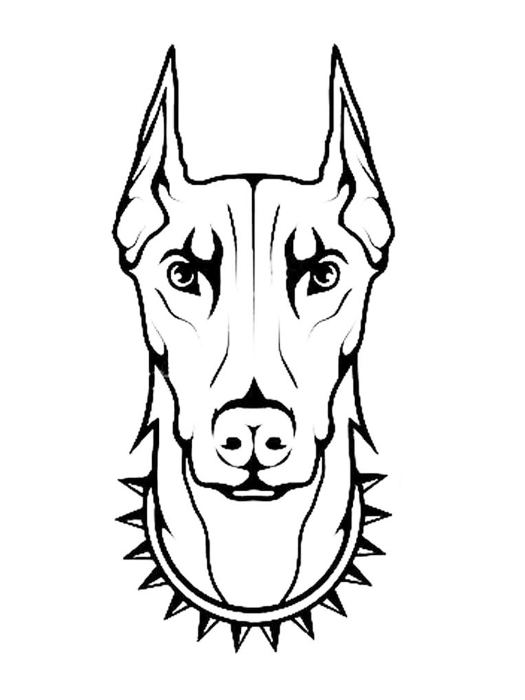 Doberman Tattoo 153
