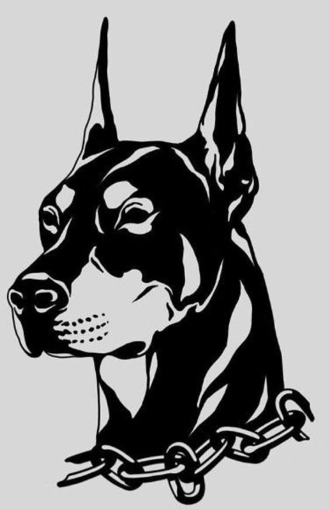 Doberman Tattoo 156