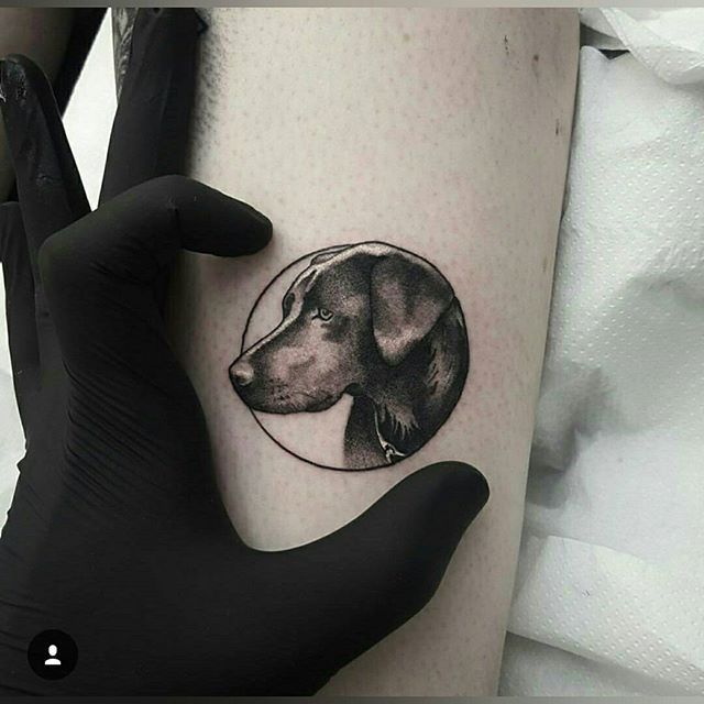 Doberman Tattoo 178