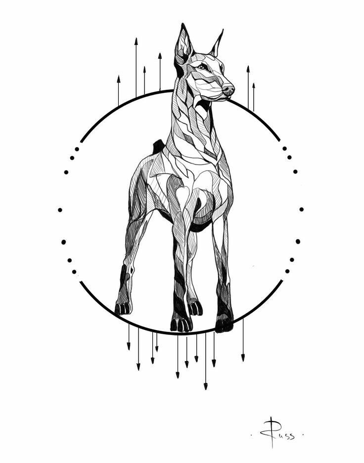 Doberman Tattoo 184