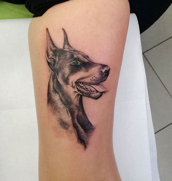 Doberman Tattoo 196