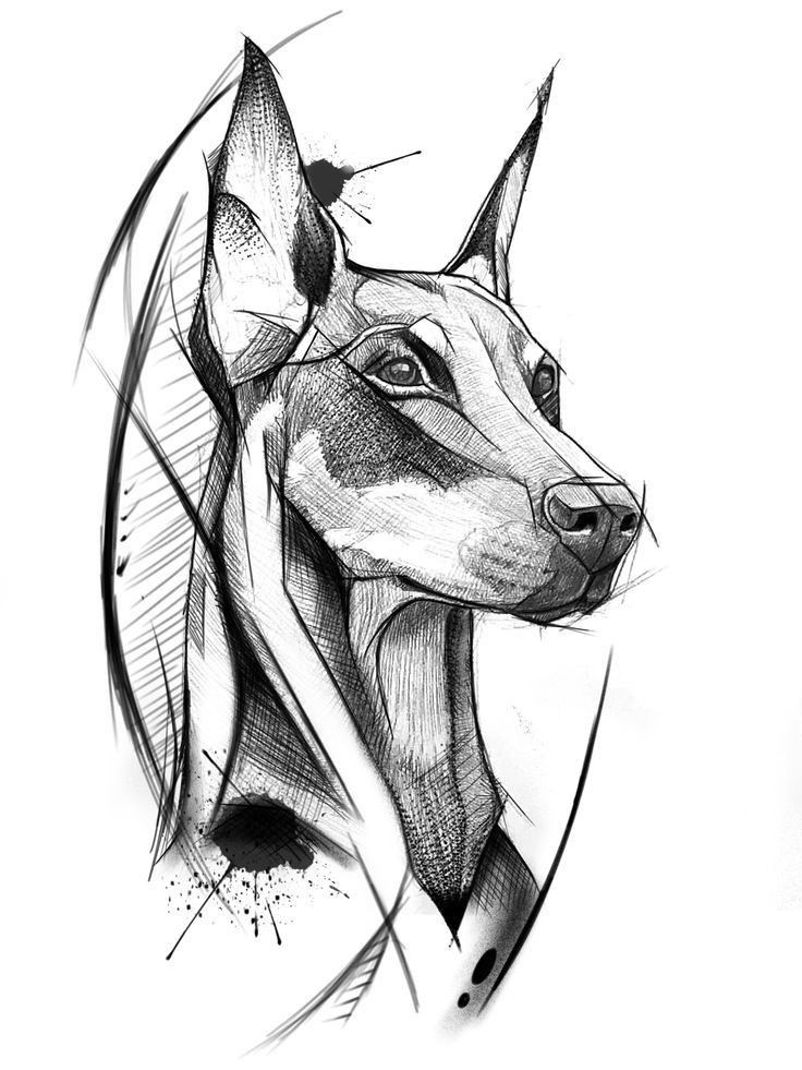 Doberman Tattoo 76