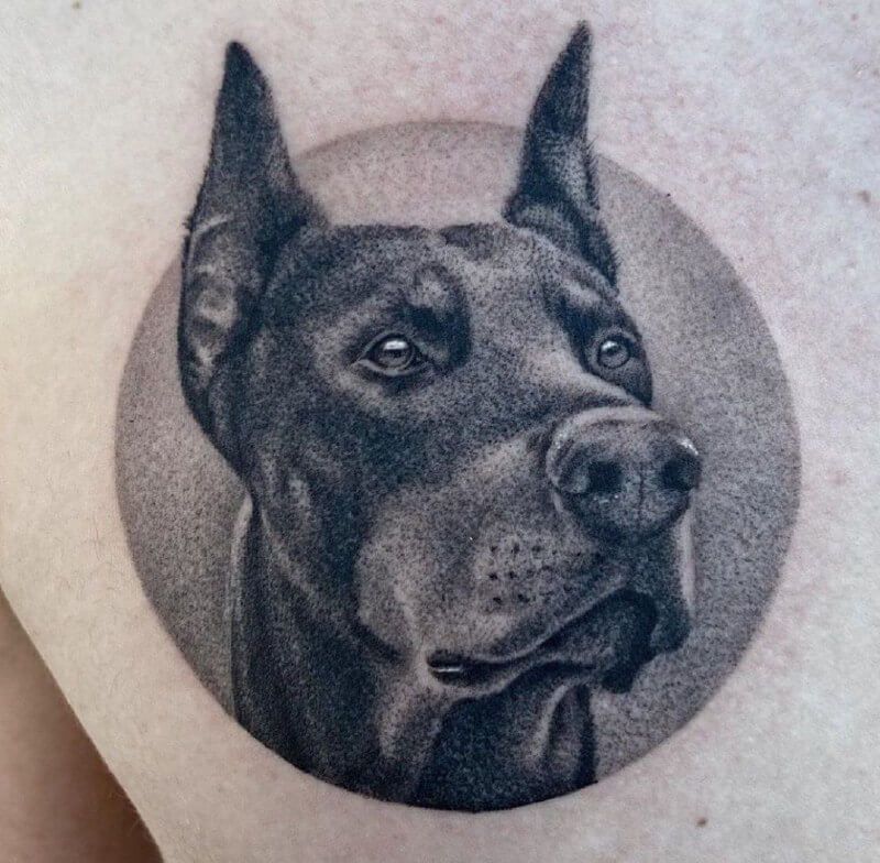 Doberman Tattoo 77