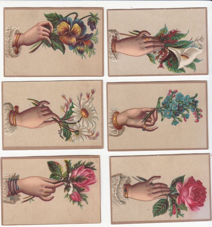 Renaissance Tattoo 141